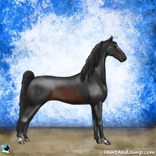 Horse Color:Brown Rabicano