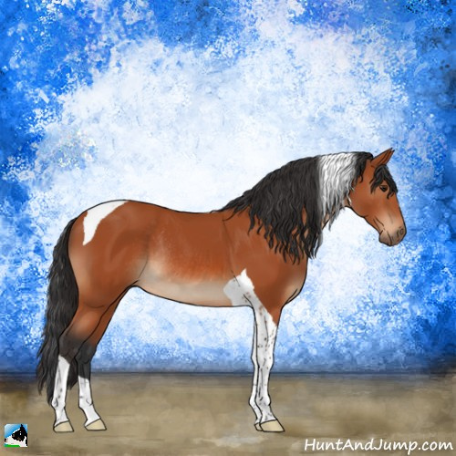 Horse Color:Brown Tobiano Rabicano 