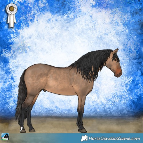Horse Color:Brown Dun Rabicano 