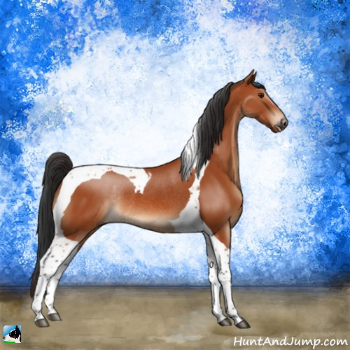 Horse Color:Brown Tobiano Rabicano 