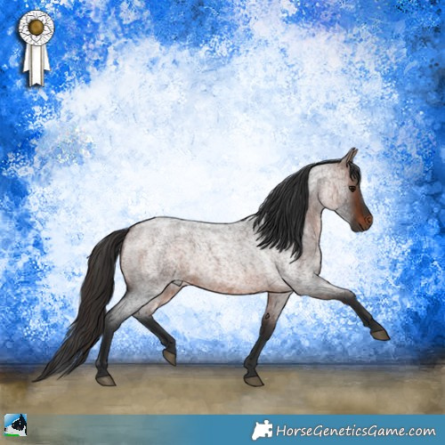 Horse Color:Brown Roan Rabicano 