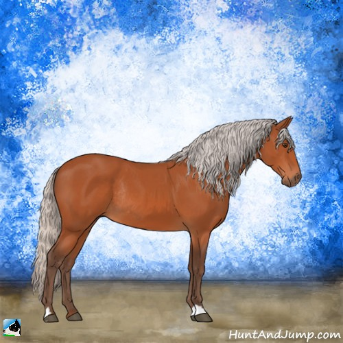 Horse Color:Silver Brown Rabicano 