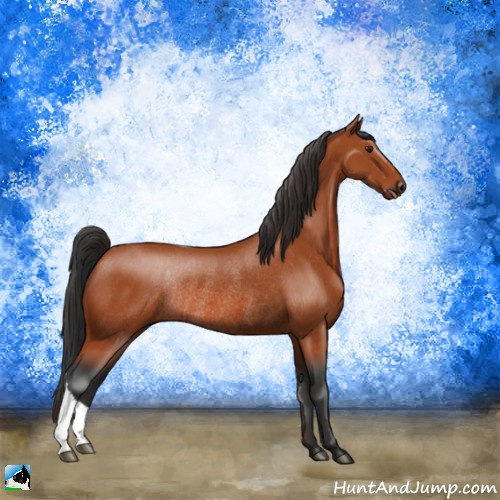 Horse Color:Brown Rabicano 