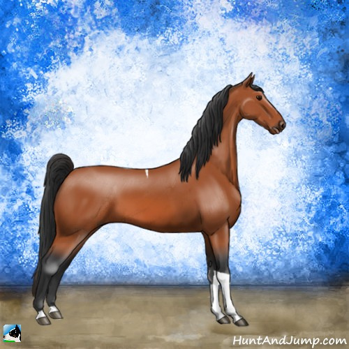 Horse Color:Bay Tobiano Rabicano 