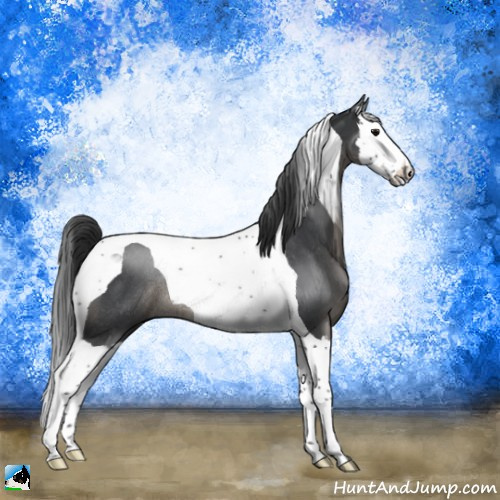 Horse Color:Blue Roan Splash Tobiano Rabicano 