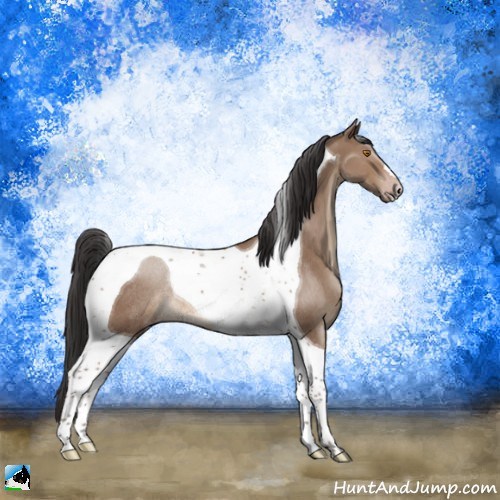 Horse Color:Sable Champagne Tobiano Rabicano 