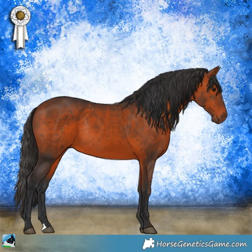 Horse Color:Bay Rabicano 