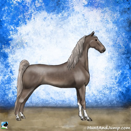 Horse Color:Silver Black Tobiano Rabicano 