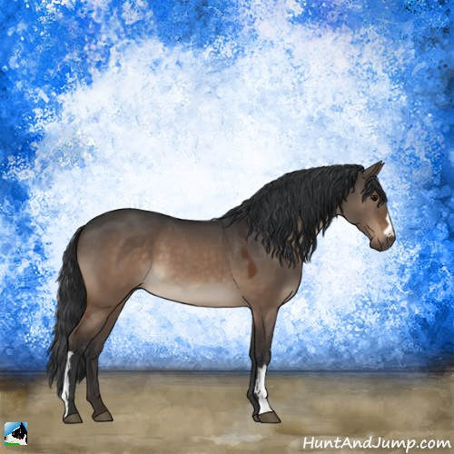 Horse Color:Brown Dun 