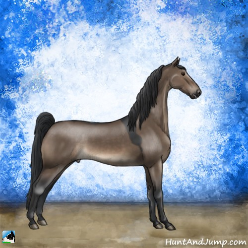 Horse Color:Brown Dun 