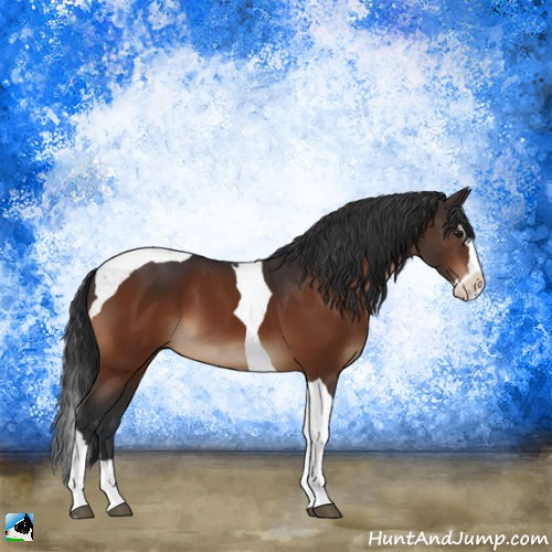 Horse Color:Brown Splash Tobiano 