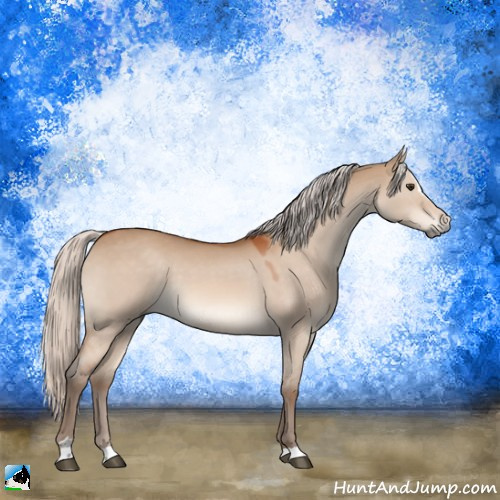 Horse Color:Silver Brown Dun Sabino 