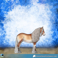 Horse Color:Silver Bay Onyx Sabino 