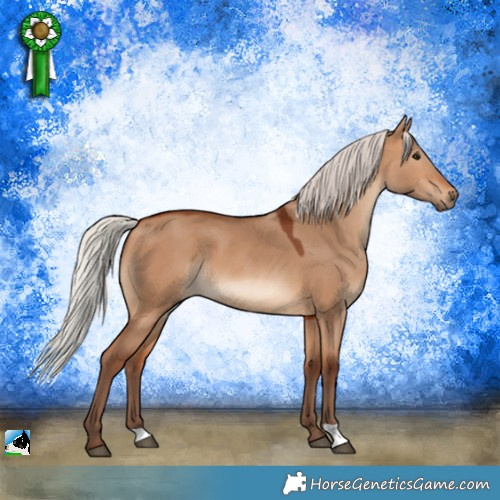 Horse Color:Silver Bay Dun 
