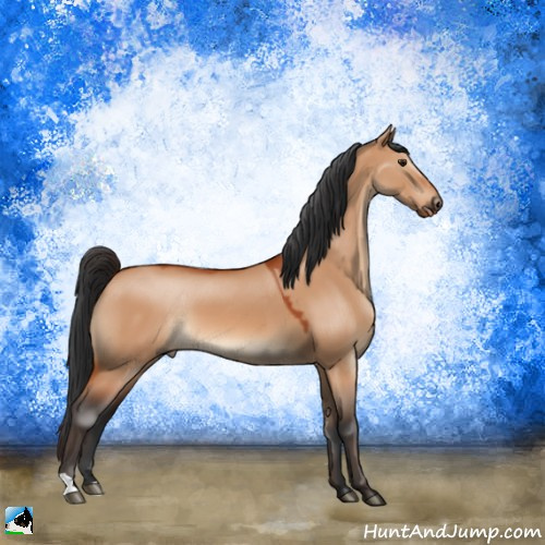 Horse Color:Brown Dun 