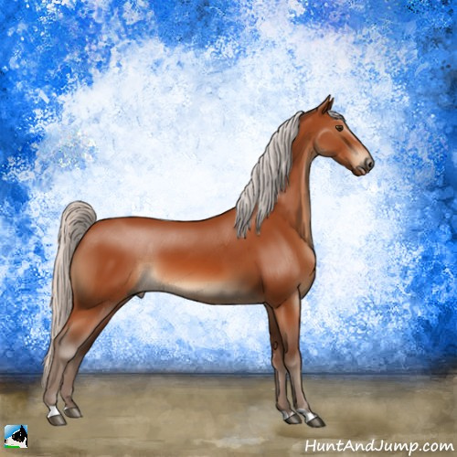 Horse Color:Silver Brown 