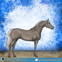 Horse Color:Silver Grullo 