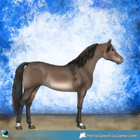 Horse Color:Brown Dun Rabicano 
