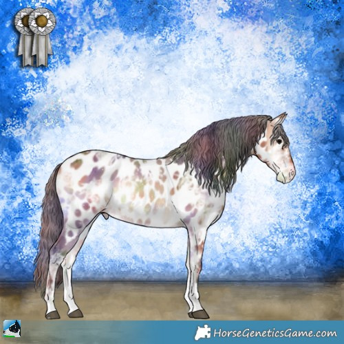 Horse Color:Nacre Bay Ice Onyx Sabino Appaloosa 
