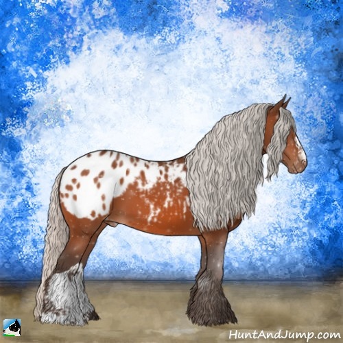 Horse Color:Silver Bay Appaloosa 