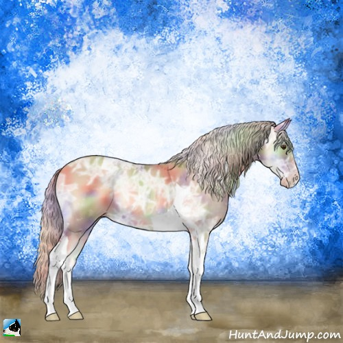 Horse Color:Nacre Gold Champagne Ice Onyx Tobiano 