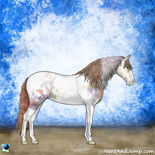 Horse Color:Nacre Gold Champagne Ice Onyx Tobiano Appaloosa 