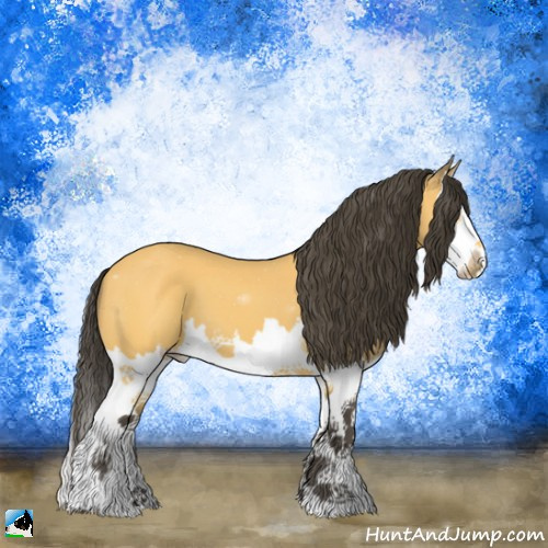 Horse Color:Buckskin Splash 
