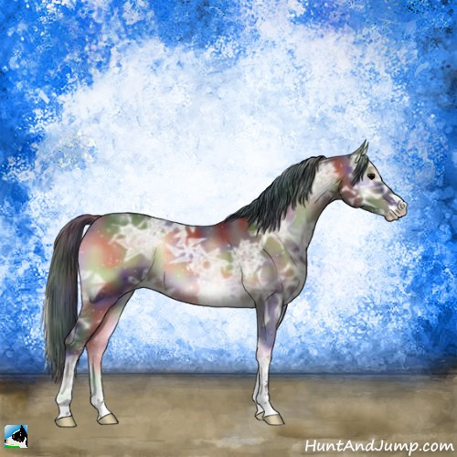 Horse Color:Nacre Bay Ice Onyx Sabino 