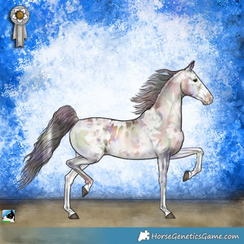 Horse Color:Nacre Bay Ice Onyx Sabino Appaloosa 