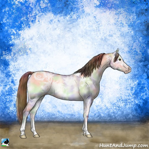 Horse Color:Gray Nacre Gold Champagne Ice Roan Onyx Tobiano Rabicano 