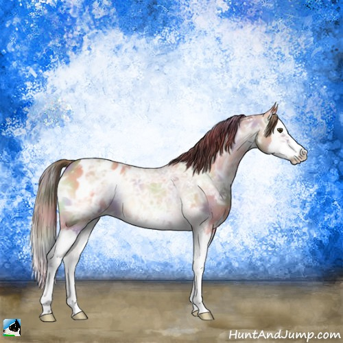 Horse Color:Nacre Amber Champagne Ice Onyx Sabino Splash Appaloosa 