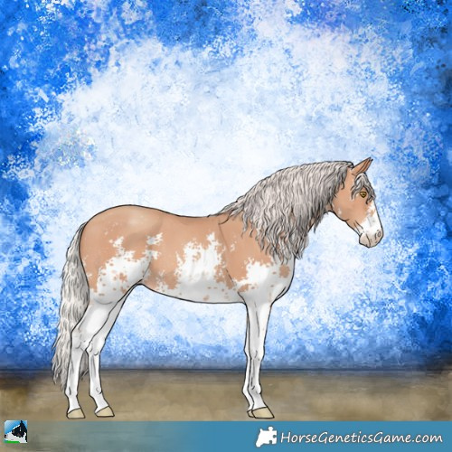 Horse Color:Silver Amber Champagne Sabino
