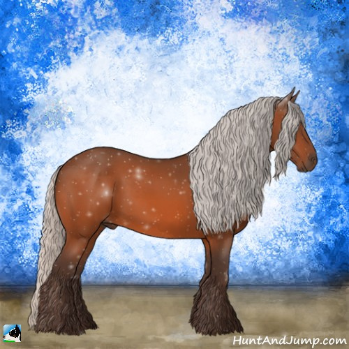 Horse Color:Silver Bay 