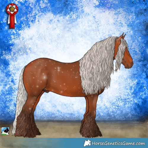 Horse Color:Silver Bay 