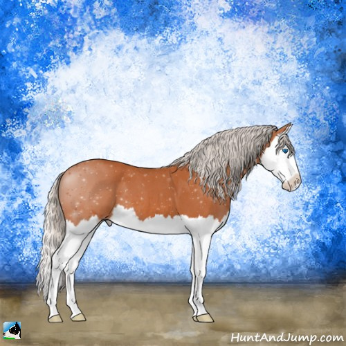 Horse Color:Silver Bay Roan Splash 