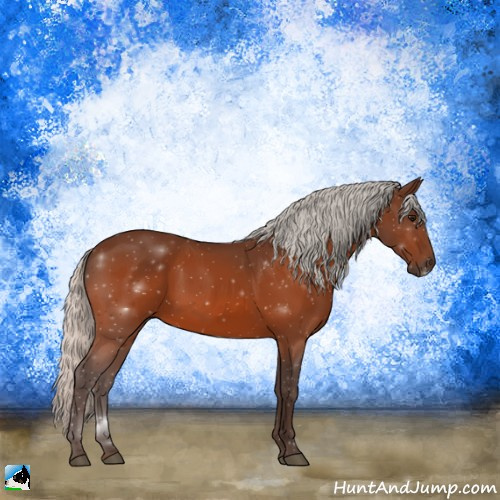 Horse Color:Silver Bay 