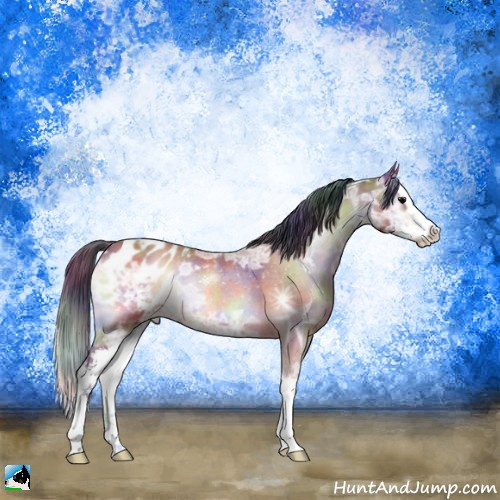 Horse Color:Nacre Bay Ice Roan Onyx Sabino Splash Appaloosa Rabicano 