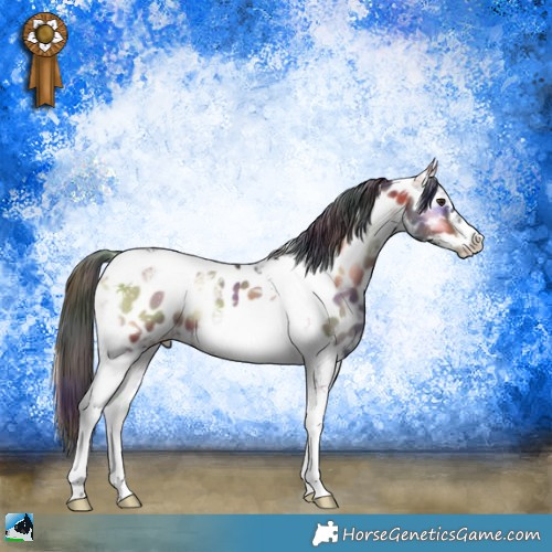 Horse Color:Nacre Liver Red Onyx Ice Tobiano Frame Appaloosa 
