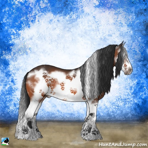 Horse Color:Bay Splash Frame 