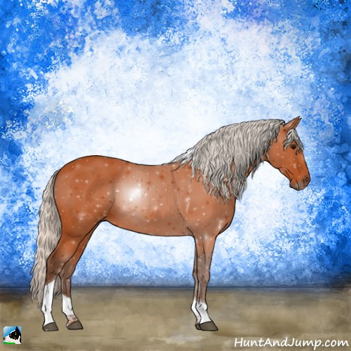Horse Color:Silver Bay Tobiano 
