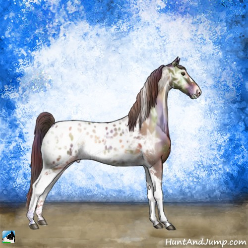 Horse Color:Nacre Red Onyx Ice Tobiano Appaloosa 