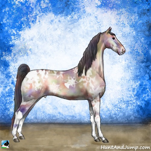 Horse Color:Nacre Bay Ice Onyx Tobiano Appaloosa 
