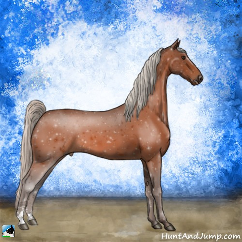 Horse Color:Silver Bay Sabino 