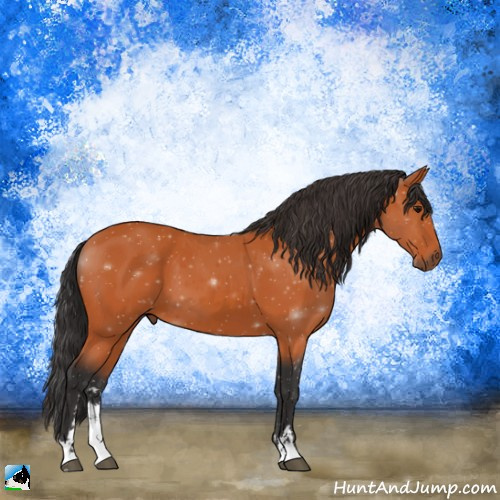 Horse Color:Bay Sabino 