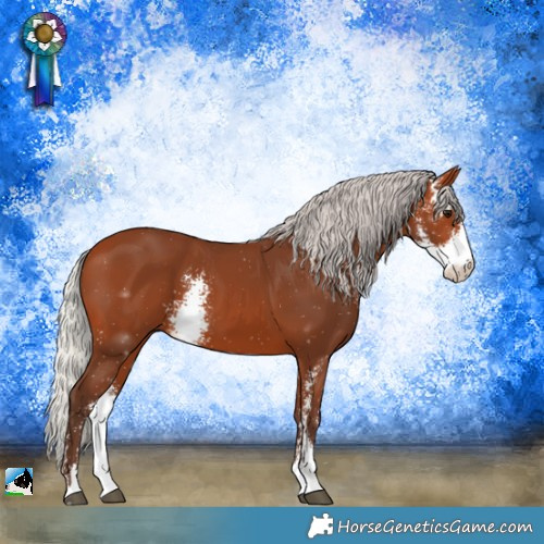 Horse Color:Silver Bay Sabino 