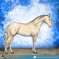 Horse Color:Palomino Tobiano Varnish 