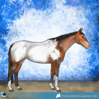 Horse Color:Bay Tobiano Near Fewspot