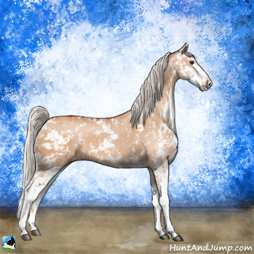 Horse Color:Silver Bay Dun Sabino 