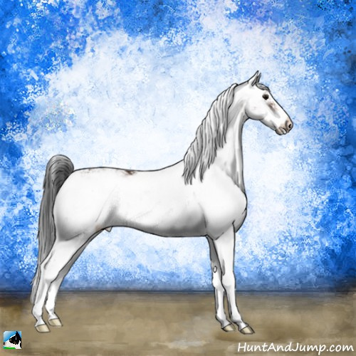 Horse Color:Bay Sabino 
