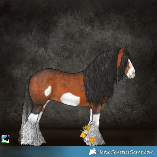 Horse Color:Brown Splash Frame 